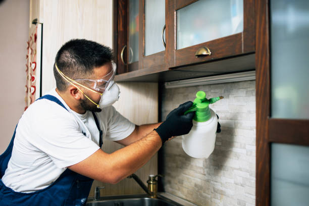 Best Pest Prevention Services  in Leetsdale, PA