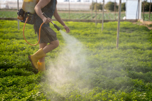 Best Mosquito Control Services  in Leetsdale, PA