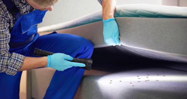 Best Flea Control Services  in Leetsdale, PA
