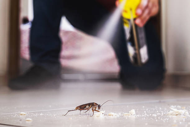 Best Local Pest Control Services  in Leetsdale, PA